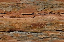 Fondos web: madera02.jpg (archivo original)